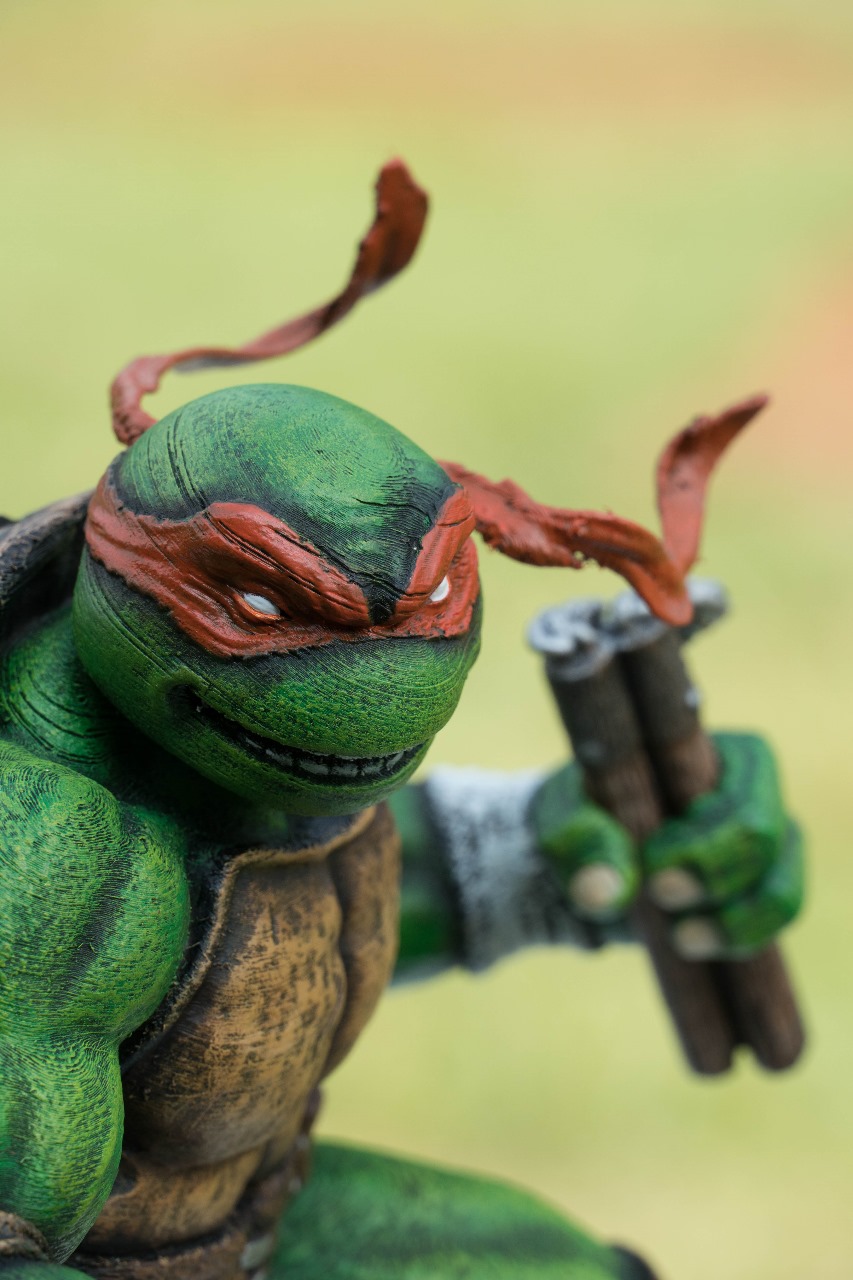 Teenage Mutant Ninja Turtles & Shredder - Image 10