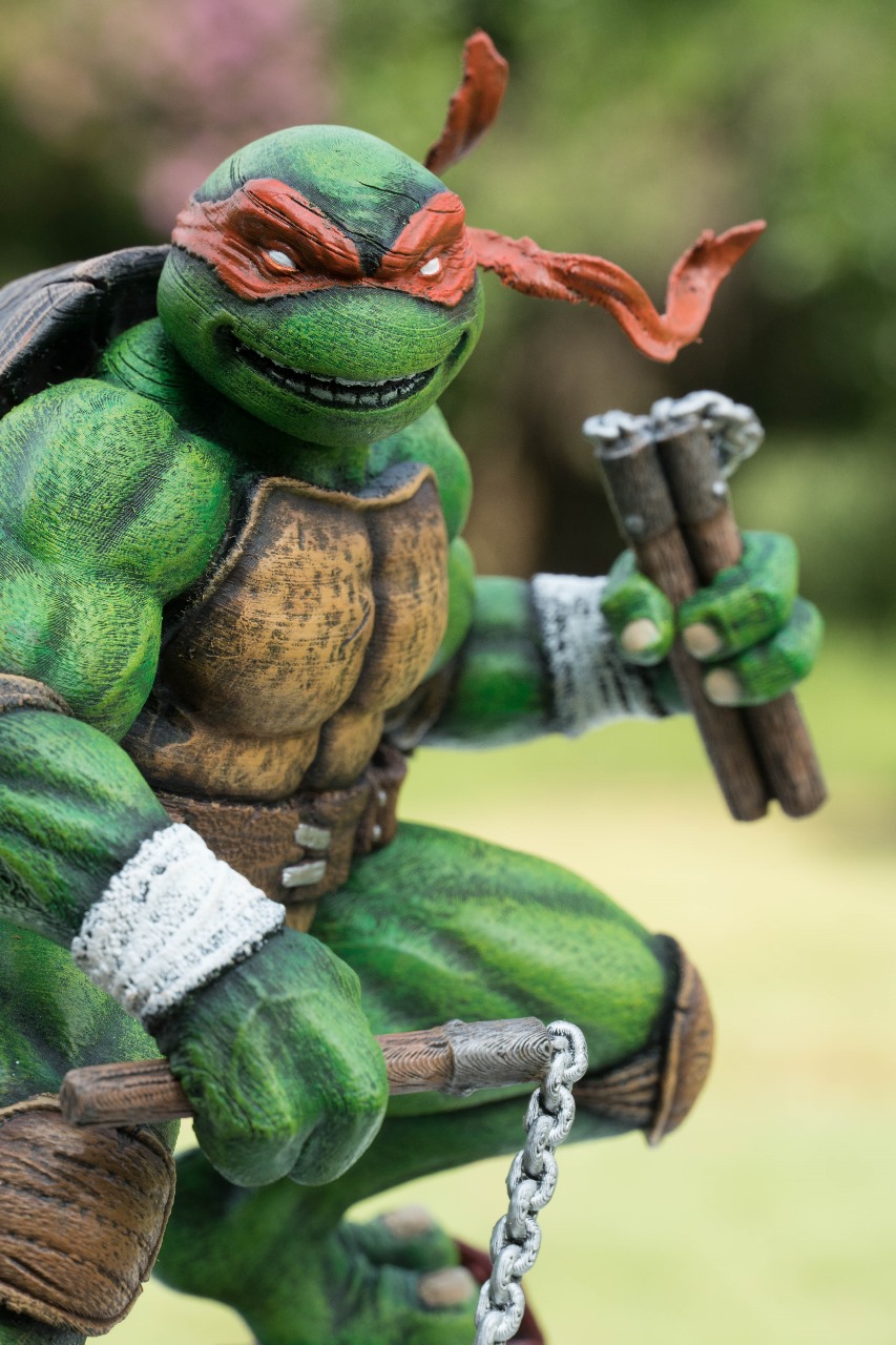 Teenage Mutant Ninja Turtles & Shredder - Image 13