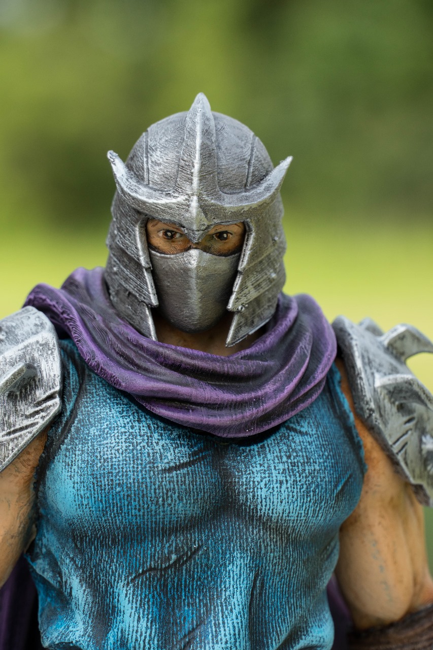 Teenage Mutant Ninja Turtles & Shredder - Image 16